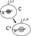 \begin{figure}
\par\includegraphics[width=5.5cm,clip]{6515fig2.ps} %
\end{figure}