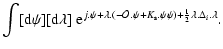 $\displaystyle \int [{\rm d}\psi] [{\rm d}\lambda] \; {\rm e}^{j.\psi
+ \lambda.(-{\cal O}.\psi+K_{\rm s}.\psi\psi) + \frac{1}{2}\lambda.\Delta_i.\lambda} .$