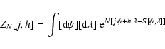 \begin{displaymath}Z_N[j,h] = \int [{\rm d}\psi] [{\rm d}\lambda] \; {\rm e}^{N[j.\psi+h.\lambda-S[\psi,\lambda]]}
\end{displaymath}