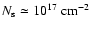 $N_{\rm s}\simeq 10^{17}~\mbox{cm}^{-2}$