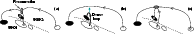 \begin{figure}
\par\includegraphics[width=17cm,clip]{5129fig6.eps}\end{figure}