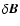 $\bf\delta {\vec B}$