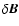 $\delta \vec B$
