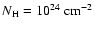 $N_{\rm {H}} = 10^{24}~{\rm cm}^{-2}$
