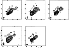 \begin{figure}
\par\includegraphics[width=12cm,clip]{6754fig7.eps}\end{figure}