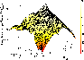 \begin{figure}
\par\includegraphics[width=8.2cm,height=6.2cm,clip]{6301f18.eps}
\end{figure}