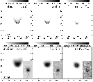 \begin{figure}
\par\includegraphics[width=11.7cm,clip]{67341301.eps}\vspace*{3mm}
\par\includegraphics[width=11.7cm,clip]{67341302.eps}\end{figure}