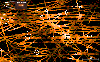 \begin{figure}
\par\resizebox{8.8cm}{!}{\includegraphics{6236fig5.ps}}\end{figure}