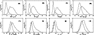\begin{figure}
\par {\includegraphics[width=16.5cm,clip]{7017fig4.ps} }
\end{figure}