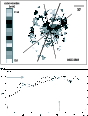 \begin{figure}
\par\includegraphics[width=7.8cm,clip]{7071Fig2.eps}\end{figure}