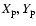 $X_{\rm p}, Y_{\rm p}$