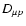 $D_{\mu p}$