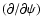 $(\partial / \partial \psi)$