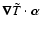 $\vec\nabla\tilde T\cdot\vec\alpha$