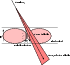 \begin{figure}
\par\includegraphics[width=6.2cm,clip]{6006fig4.eps}\end{figure}