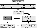 \begin{figure}
\par\includegraphics[angle=270,width=6.7cm,clip]{6152Fg02.eps} \end{figure}