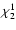 $\chi_2^{1}$