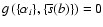 $g\left(\{\alpha_i\},\{\overline{s}(b)\}\right) = 0$