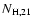 $N_{\rm H,21}$