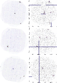 \begin{figure}
\hbox{
{\resizebox{8cm}{!}{\includegraphics{5724fig16a.ps}} }
{\r...
...e.ps}} }
{\resizebox{8cm}{!}{\includegraphics{5724fig16f.ps}} }
}
\end{figure}