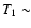 $T_1\sim$