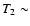 $T_2\sim$
