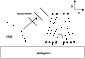 \begin{figure}
\par\includegraphics[width=7.5cm,clip]{6977f1.eps}
\end{figure}