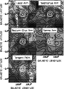 \begin{figure}
\par\includegraphics[width=7.85cm,clip]{7309f5.ps} \end{figure}