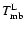 $T_{\rm mb}^{\rm L}$