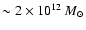 $\sim 2\times 10^{12}~M_\odot $