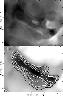 \begin{figure}
\par\includegraphics[width=8.1cm,clip]{6265fg11.eps}
\end{figure}