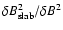 $\delta B_{\rm slab}^2 / \delta B^2$