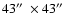 $43\hbox{$^{\prime\prime}$ }\times 43\hbox{$^{\prime\prime}$ }$