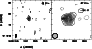 \begin{figure}
\par\includegraphics[angle=-90,width=8cm,clip]{7094fig1.ps}\end{figure}