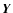 ${\vec Y}$