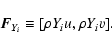 \begin{displaymath}{\vec F}_{Y_i} \equiv [\rho Y_i u,\rho Y_i v] .
\end{displaymath}