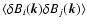 $\langle \delta B_i (\vec{k}) \delta B_j (\vec{k}) \rangle$