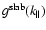 $g^{\rm slab}(k_{\parallel})$