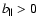 $b_{\parallel } > 0$