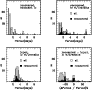 \begin{figure}
\par\includegraphics[width=8cm]{6199fg13.eps}\end{figure}