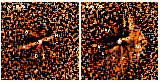 \begin{figure}
\par\includegraphics[height=14cm,angle=-90,clip]{6577fig1.ps}
\end{figure}