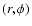 $(r,\phi)$
