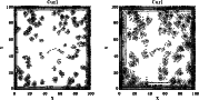 \begin{figure}
\par\includegraphics[width=15.7cm,clip]{6491fig6.ps}
\par\end{figure}
