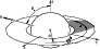 \begin{figure}
\par\includegraphics[width=8cm,clip]{7029f1.eps} \end{figure}