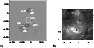 \begin{figure}
\par a)\raisebox{3mm}{\includegraphics[width=3.9cm,clip]{7544f1a....
... b)\raisebox{3mm}{\includegraphics[width=3.3cm,clip]{7544f1b.eps} }
\end{figure}