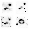 \begin{figure}
\resizebox{8.8cm}{!}{\includegraphics[width=4.5cm]{7561fig1a.ps}
...
...h=4.5cm]{7561fig1c.ps}
\includegraphics[width=4.5cm]{7561fig1d.ps}}
\end{figure}