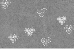 \begin{figure}
\par\includegraphics[angle=90,width=6.5cm,clip]{6843fig07.ps}
\end{figure}