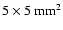 $5\times5~\rm mm^2$
