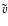 \ensuremath{\tilde{v}}
