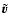 $\tilde{\vec{v}}$